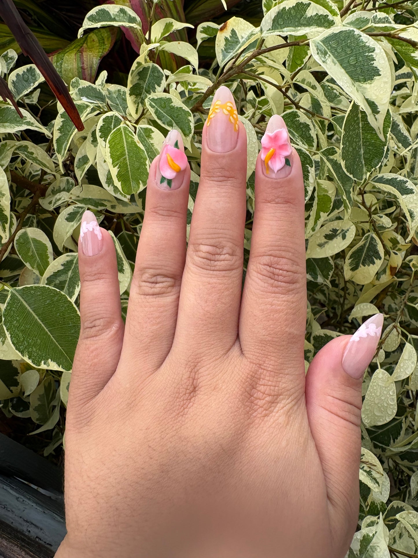 Lei’d In Paradise